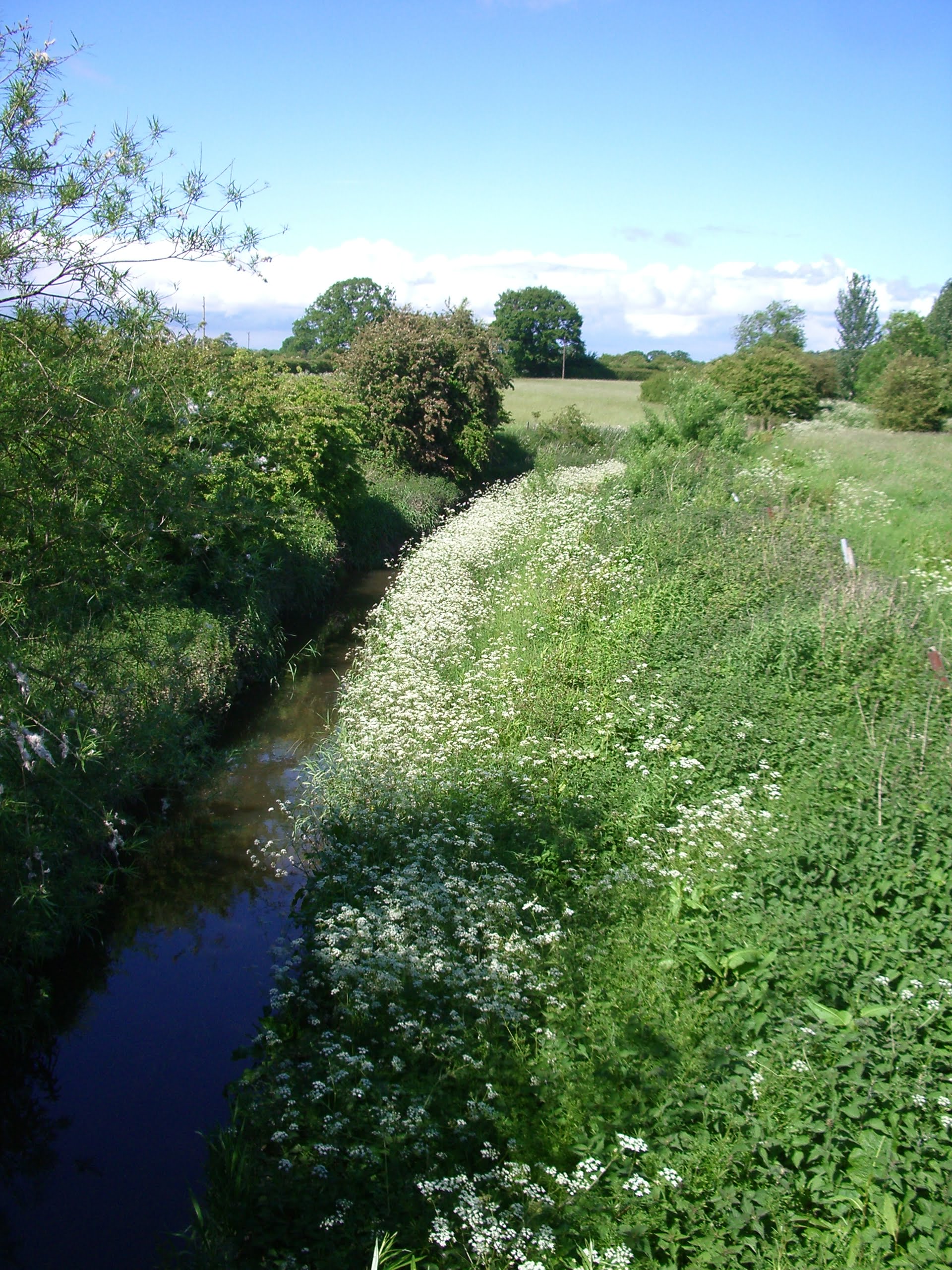 the-river-strine-near-crudgington-green